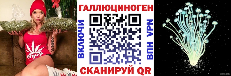 Псилоцибиновые грибы прущие грибы  наркота  Артём 